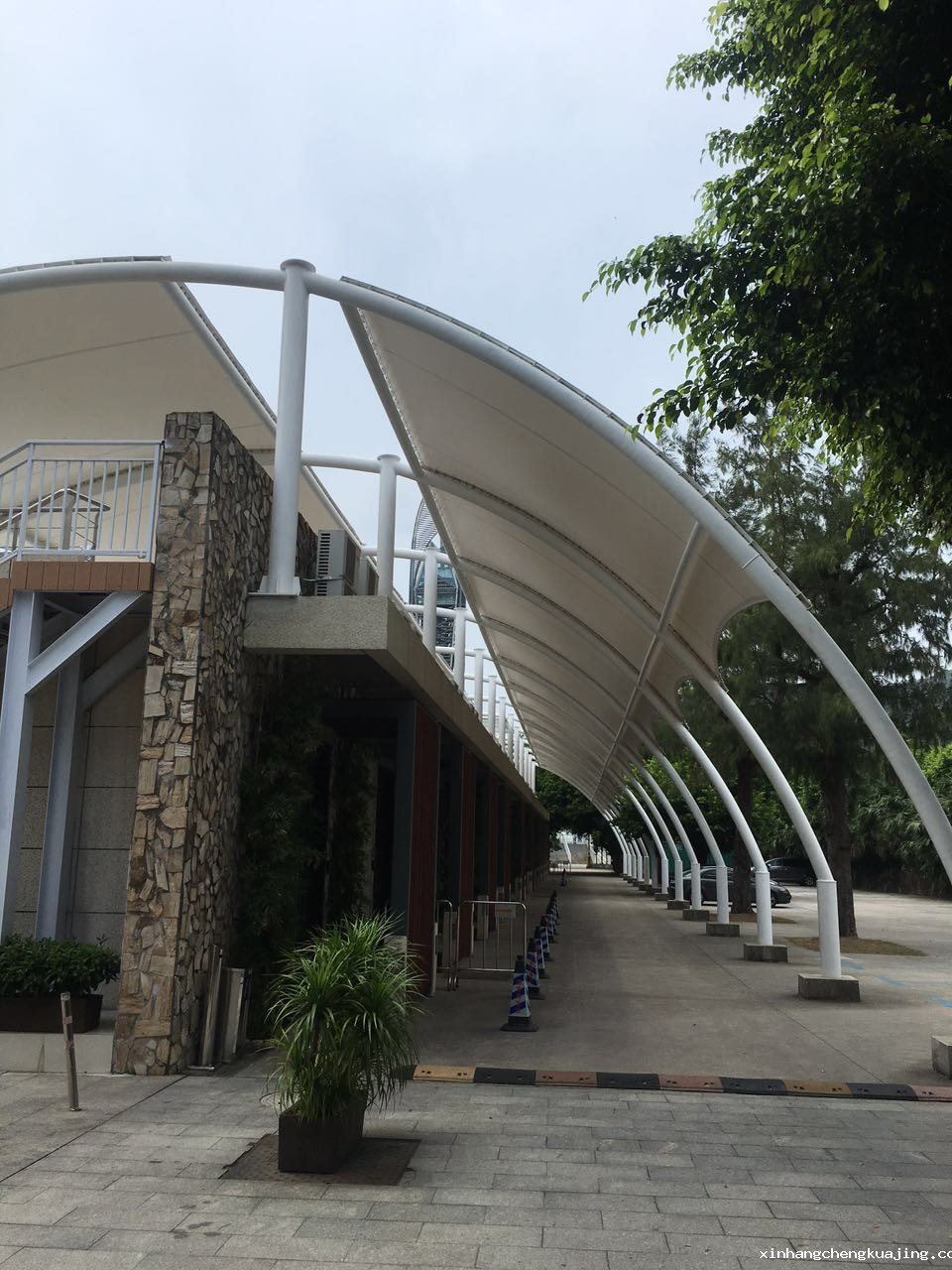 世界杯直播平台网站官网膜结构 世界杯直播平台网站官网膜结构