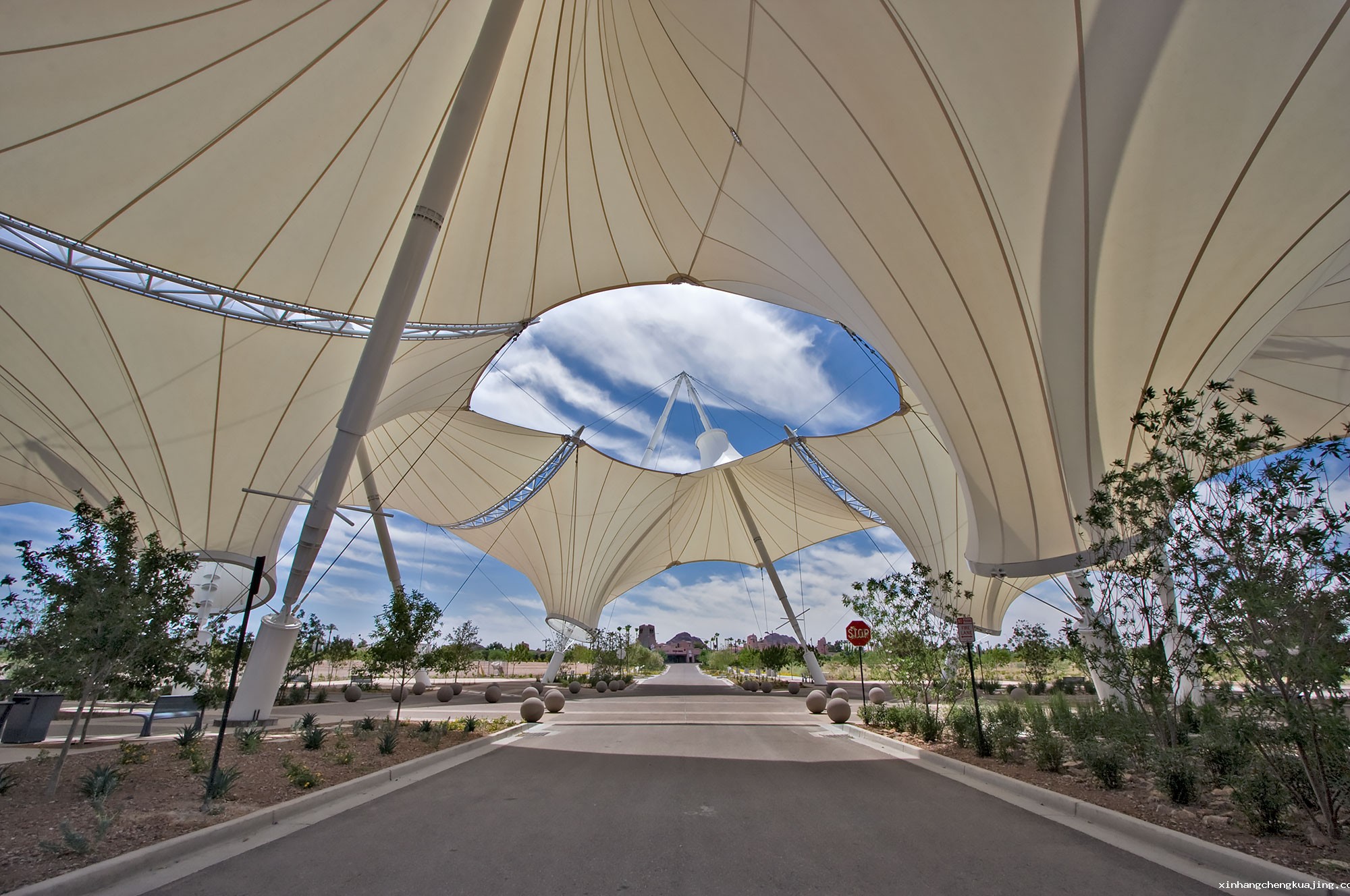 景观膜结构 景观膜结构