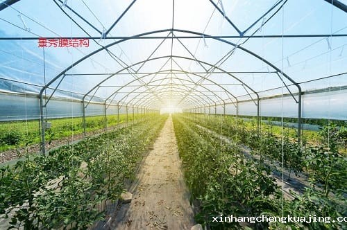 异形气膜大棚 异形气膜大棚