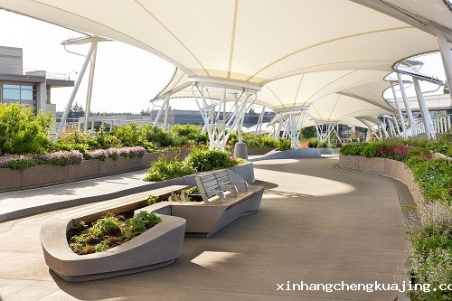 1741166934838901.jpg 27a8658x-medium-resolution.jpg