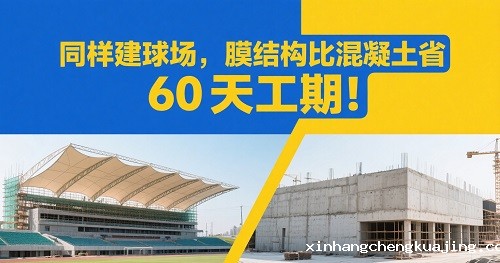 1750067924236688.jpg 1750067109520.jpg