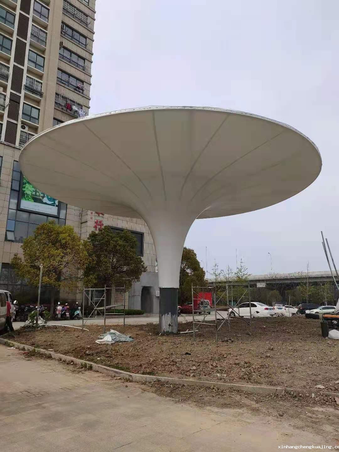 景观膜结构.jpg 景观膜结构.jpg