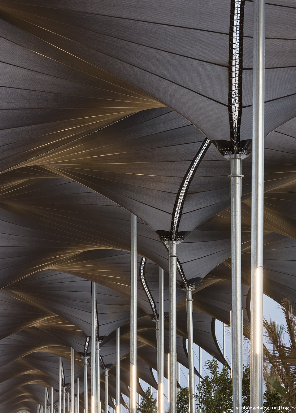 世界杯直播平台网站官网膜结构公司