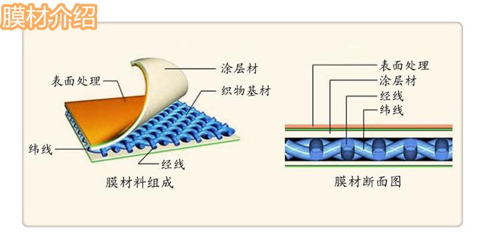 世界杯直播平台网站官网膜结构