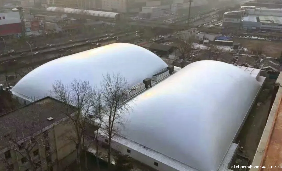 充气膜结构 世界杯直播平台网站官网充气膜结构.png