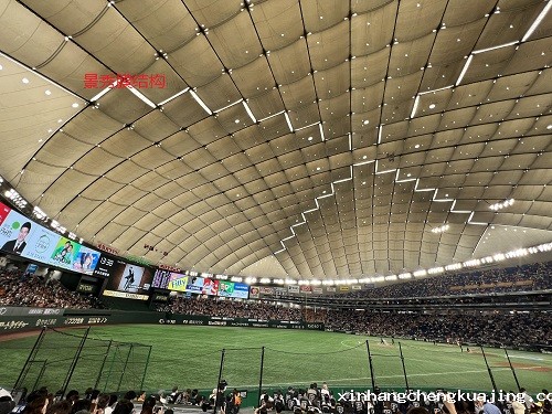 体育馆膜结构顶棚